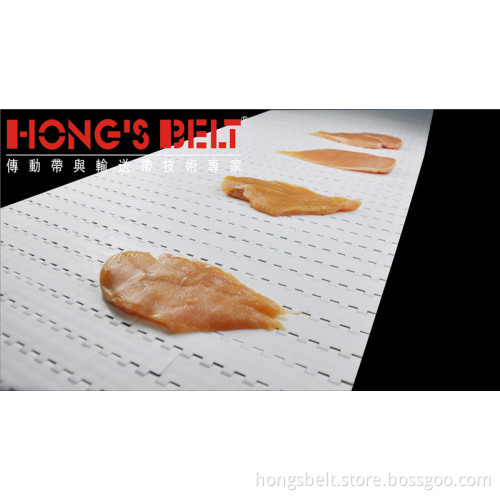Meat Industry Modular Conveyor Belt (HS-200A)